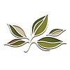 logo_ma_canopee_and_co