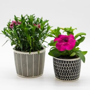 Composition fleurs d&rsquo;été disponible chez Ma Canopée & Co à Rennes