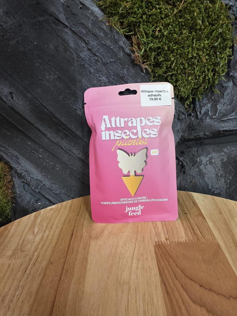 Attrapes insectes