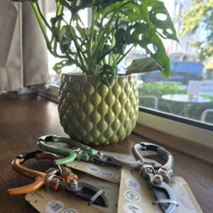 Petit Sécateur disponible chez Ma Canopée & Co à Rennes