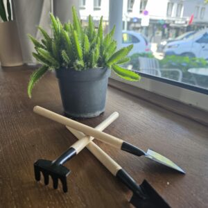 🌿 Kit d’outils pour terrarium & plantes d’intérieur disponible chez Ma Canopée & Co à Rennes