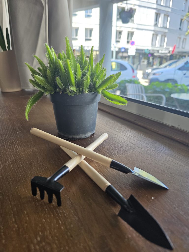 🌿 Kit d’outils pour terrarium & plantes d’intérieur