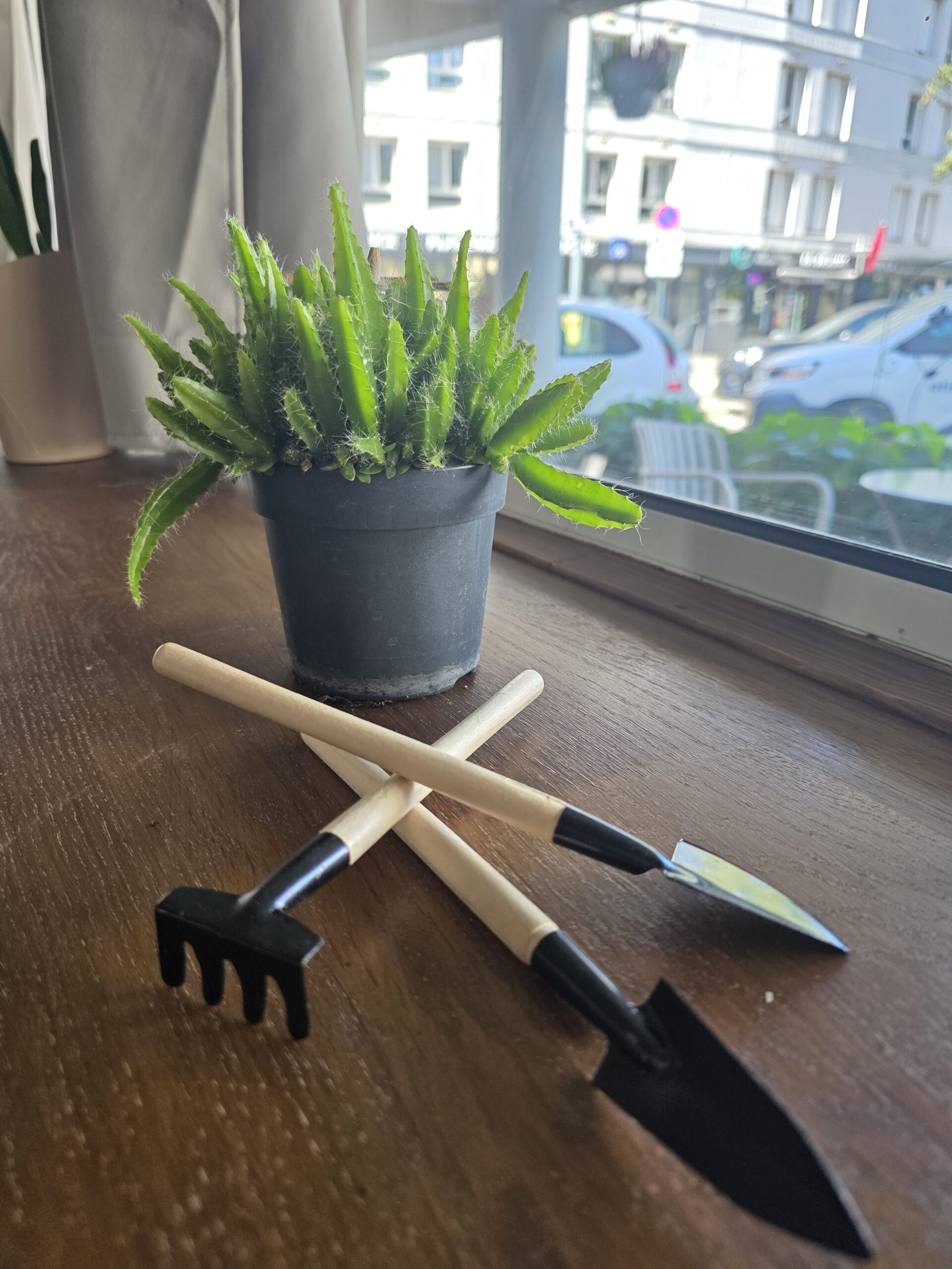 🌿 Kit d’outils pour terrarium & plantes d’intérieur disponible chez Ma Canopée & Co à Rennes