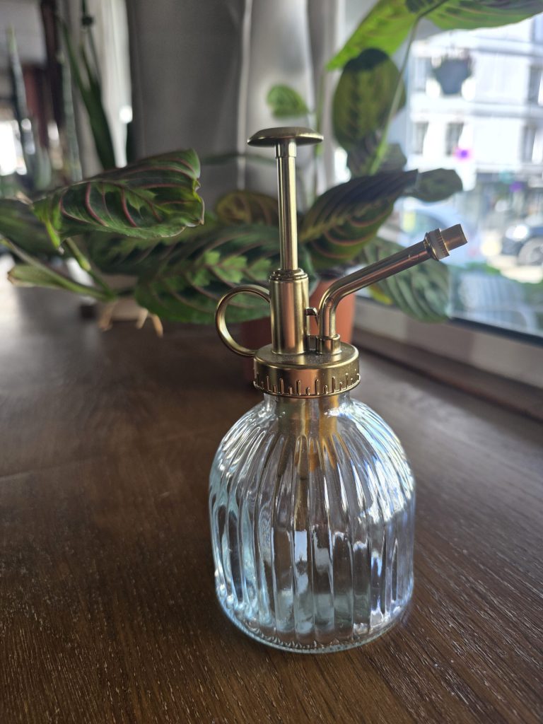 💧 Petit vaporisateur d’intérieur décoratif