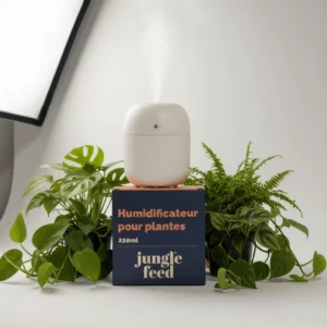 Mini humidificateur disponible chez Ma Canopée & Co à Rennes