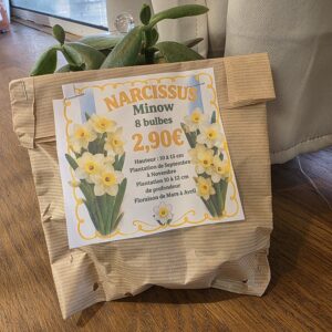 Bulbes Narcisses blanche et jaune disponible chez Ma Canopée & Co à Rennes